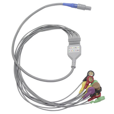 Gli strumenti biomedici 10 conduce il cavo ed i Leadwires di Holter ECG