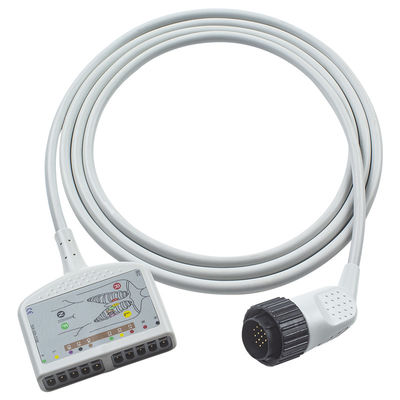 16Pin Compatibile Kenz ECG Trunk Cable IEC/AHA per adulti/pazienti pediatrici