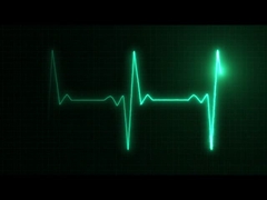 introduzione della società